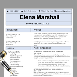 RESUME TEMPLATE FOR WORD | PROFESSIONAL RESUME TEMPLATE