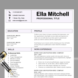 RESUME TEMPLATE FOR WORD | PROFESSIONAL RESUME TEMPLATE