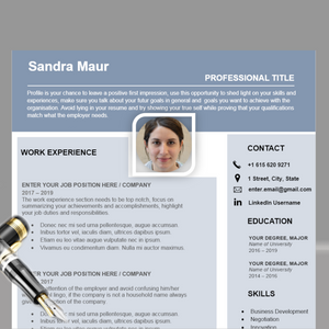 RESUME TEMPLATE FOR WORD | PROFESSIONAL RESUME TEMPLATE