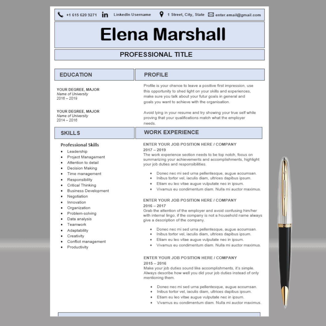 RESUME TEMPLATE FOR WORD | PROFESSIONAL RESUME TEMPLATE