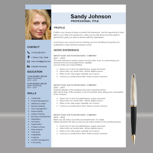 RESUME TEMPLATE FOR WORD | PROFESSIONAL RESUME TEMPLATE