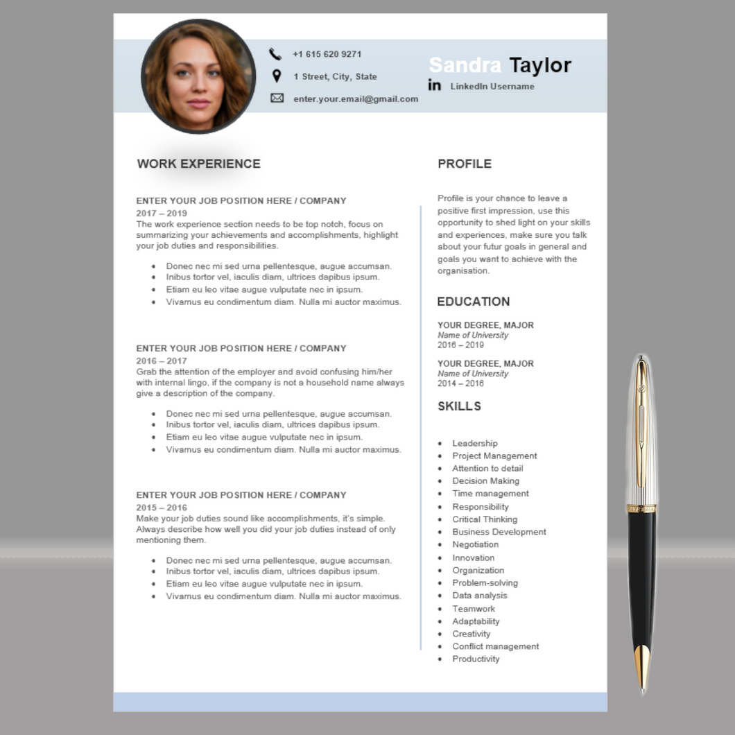 RESUME TEMPLATE FOR WORD | PROFESSIONAL RESUME TEMPLATE